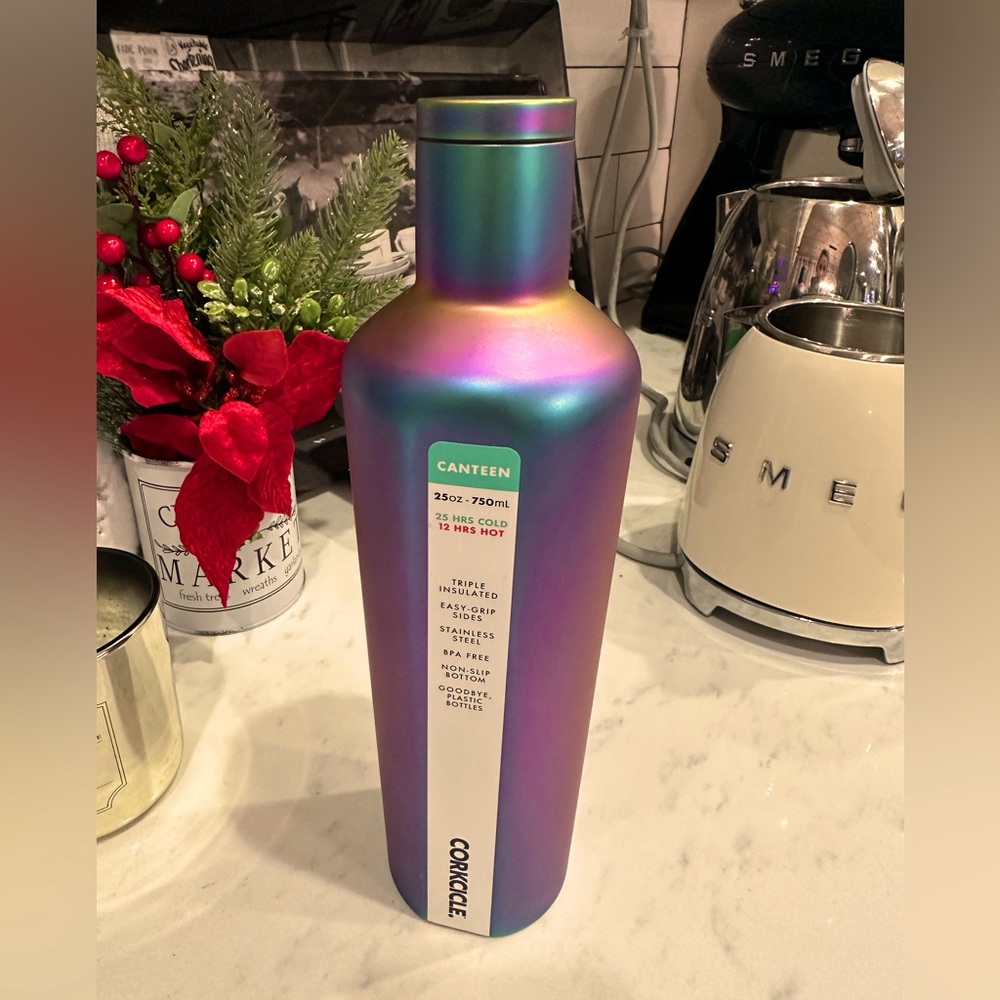 The Corkcicle 25oz Dragonfly Canteen